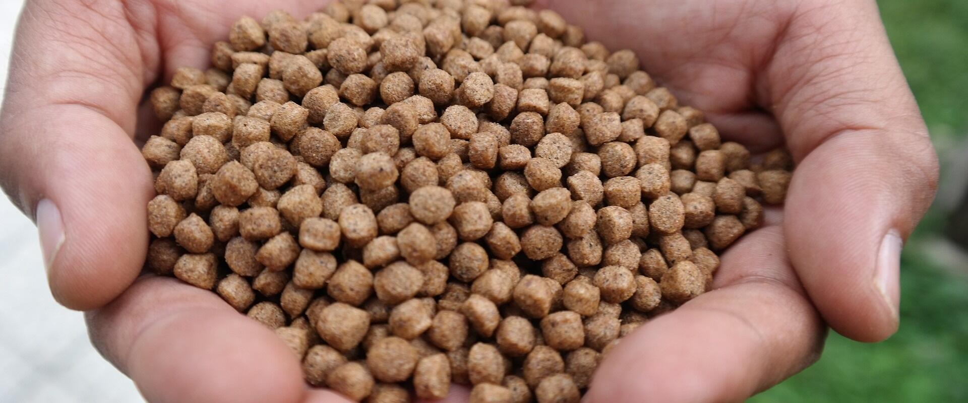 Feed pellets
